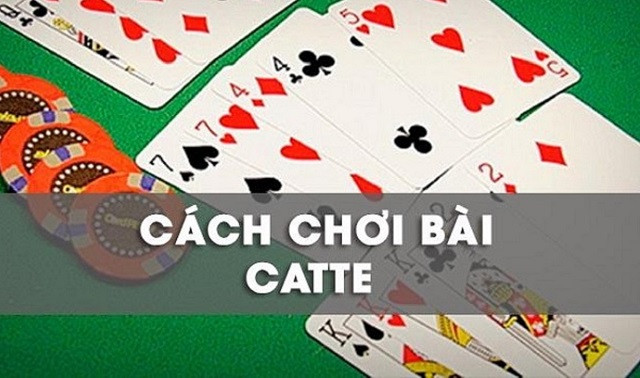 Những thông tin cơ bản về trò chơi bài Catte trên Hitclub nhé