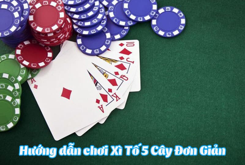 Hướng dẫn chơi Xì Tố tại HitClub dành cho người mới