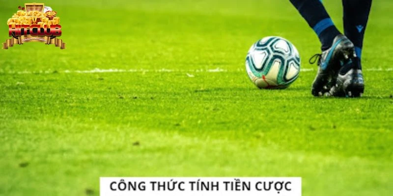 Giới thiệu sơ lược về cá độ bóng đá chính xác nhất